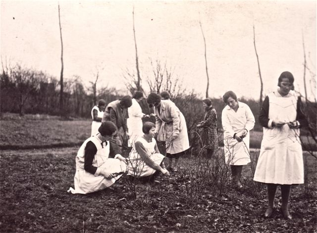Door de opleiding 'snoeien' kregen we een goed inzicht in het beheren van een overheidsbudget.
